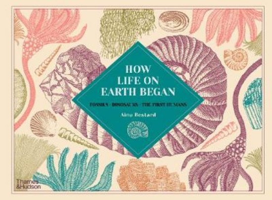 Picture of How Life on Earth Began: Fossils * Dinosaurs * The First Humans