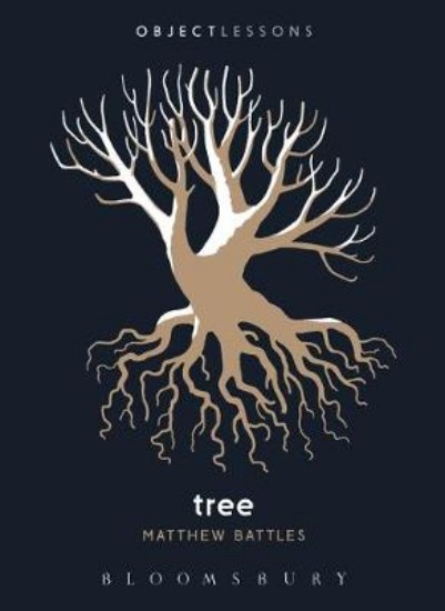 Picture of Tree