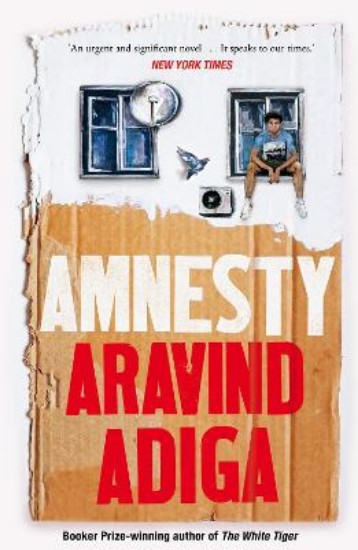 Picture of Amnesty