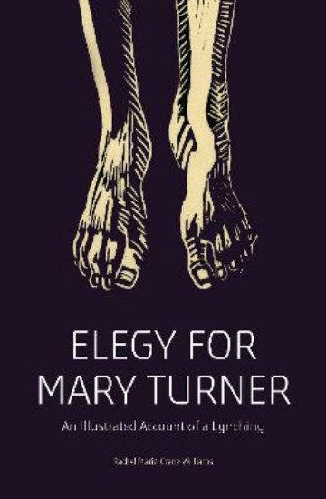 Picture of Elegy for Mary Turner: An Illustrated Account of a Lynching