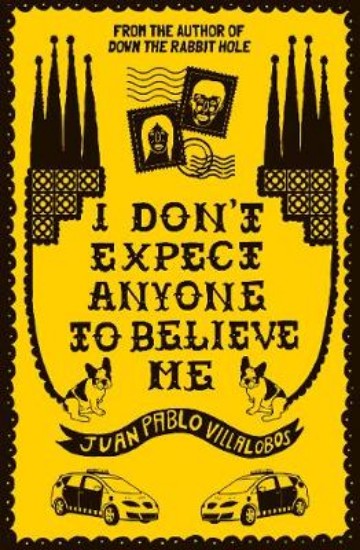 Picture of I Don't Expect Anyone to Believe Me