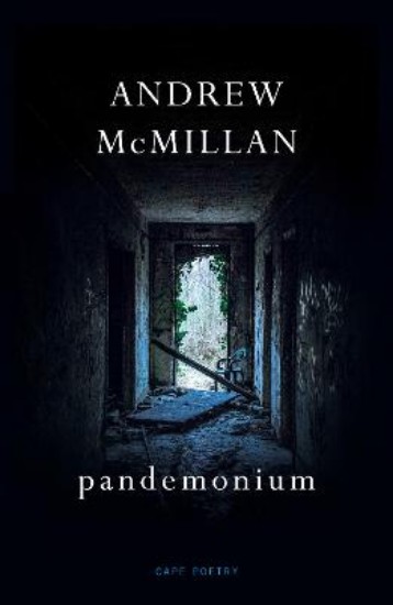 Picture of pandemonium