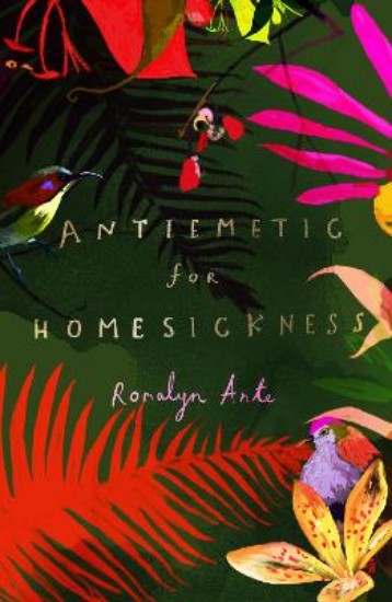 Picture of Antiemetic for Homesickness