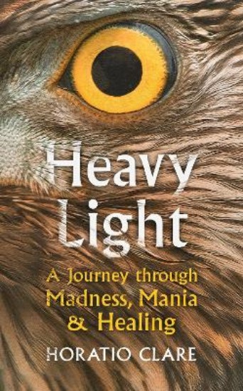 Picture of Heavy Light: A Journey Through Madness, Mania and Healing