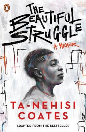 Picture of Beautiful Struggle
