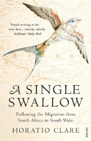 Picture of Single Swallow: Following An Epic Journey From South Africa To South Wales
