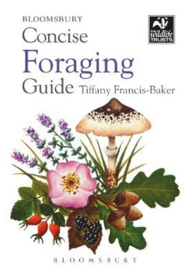 Picture of Concise Foraging Guide