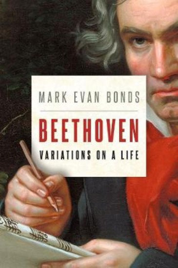 Picture of Beethoven: Variations on a Life