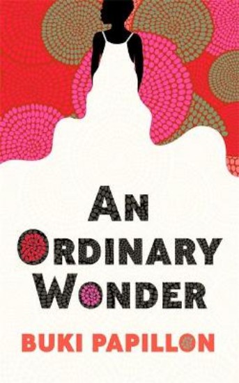 Picture of An Ordinary Wonder