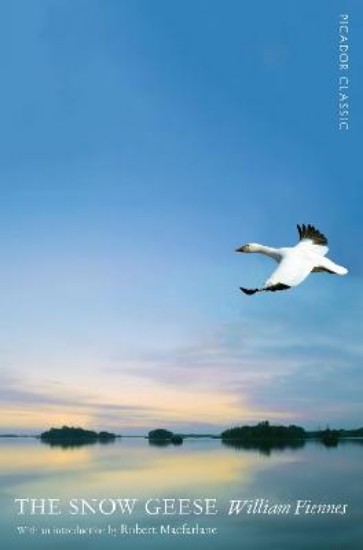 Picture of The Snow Geese