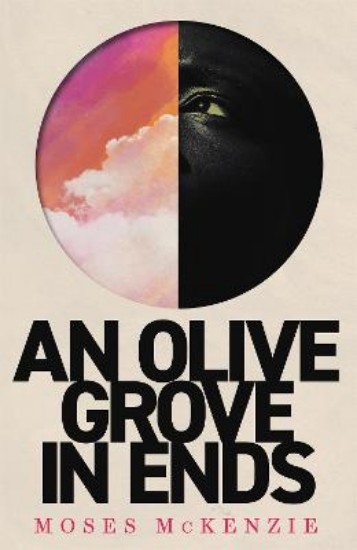 Picture of An Olive Grove in Ends