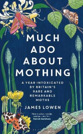 Picture of Much Ado About Mothing: A Year Intoxicated By Britain's Rare And Remarkable Moths