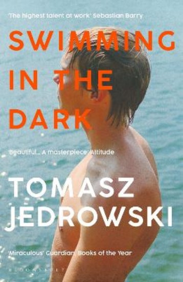 Picture of Swimming in the Dark
