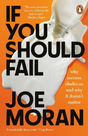 Picture of If You Should Fail: Why Success Eludes Us and Why It Doesn't Matter