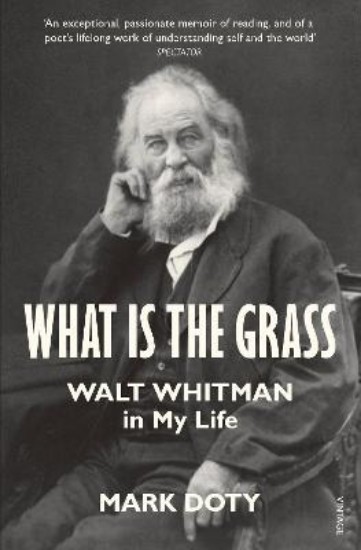 Picture of What is the Grass