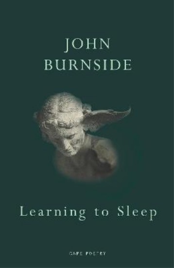 Picture of Learning to Sleep