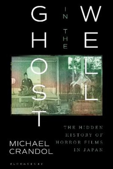 Picture of Ghost in the Well: The Hidden History of Horror Films in Japan