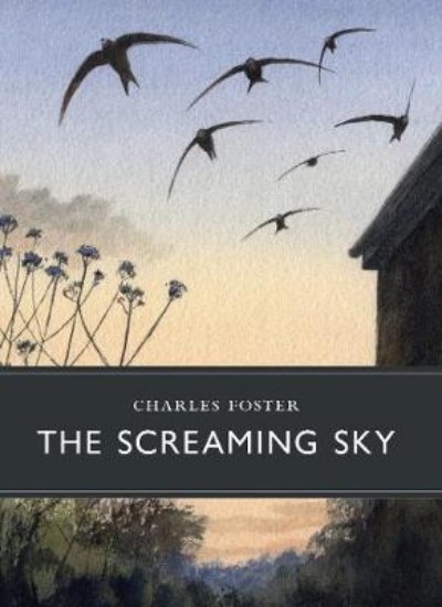Picture of Screaming Sky