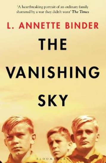 Picture of Vanishing Sky