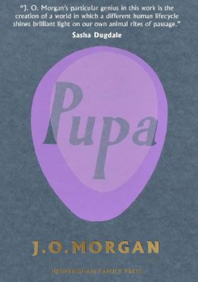 Picture of Pupa