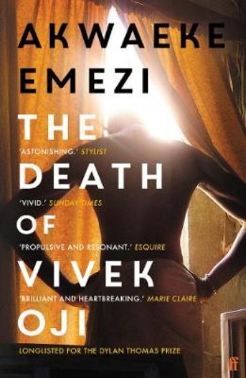 Picture of Death of Vivek Oji