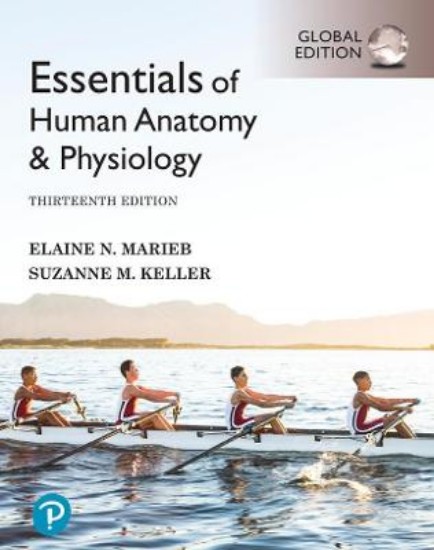 Picture of Essentials of Human Anatomy & Physiology plus Pearson Mastering Anatomy & Physiology with Pearson eText, Global 13ed