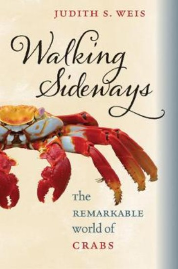 Picture of Walking Sideways: The Remarkable World of Crabs