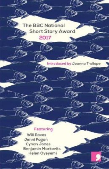 Picture of The BBC National Short Story Award 2017: No.12