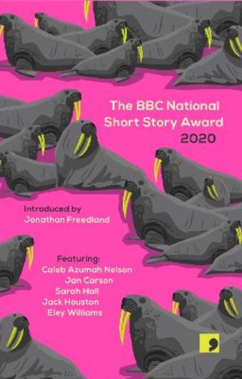 Picture of The BBC National Short Story Award 2020