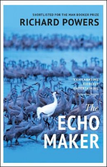 Picture of The Echo Maker