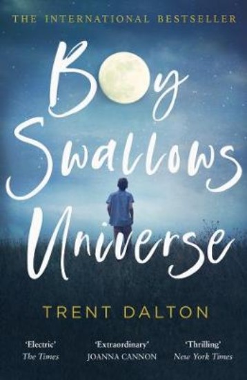 Picture of Boy Swallows Universe
