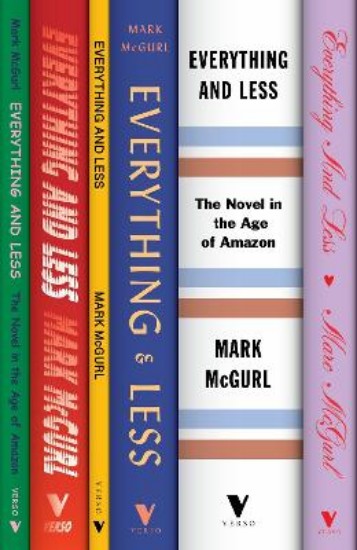 Picture of Everything and Less: The Novel in the Age of Amazon
