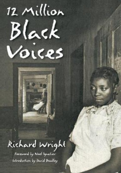 Picture of 12 Million Black Voices