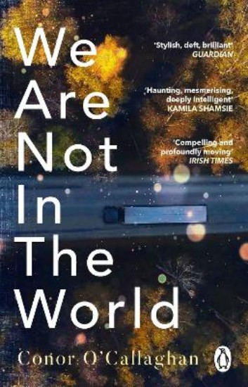 Picture of We Are Not in the World: 'compelling and profoundly moving' Irish Times