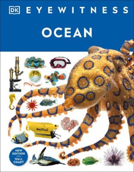 Picture of OCEAN