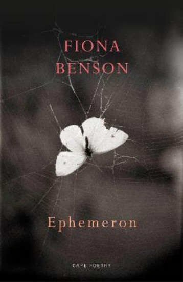 Picture of Ephemeron