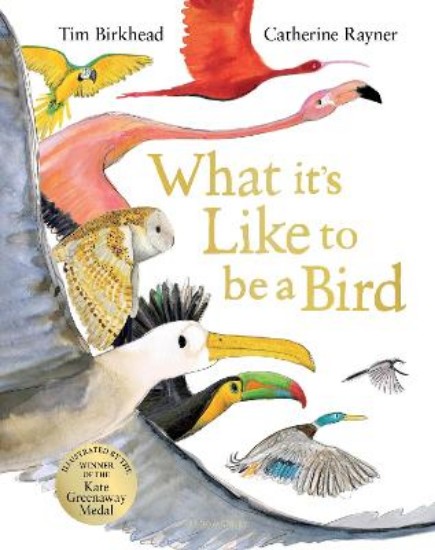 Picture of What it's Like to be a Bird