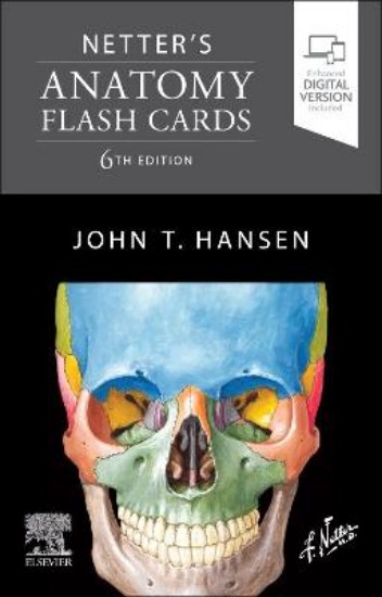 Picture of Netter's Anatomy Flash Cards 6ed