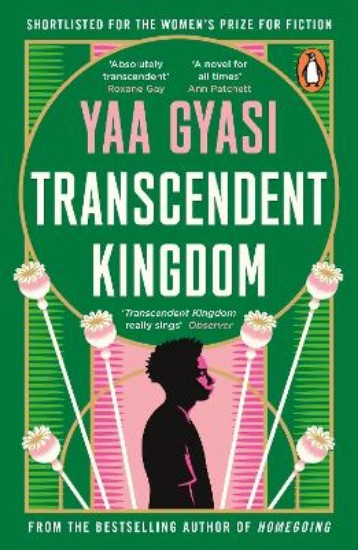 Picture of Transcendent Kingdom
