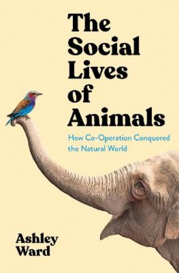 Picture of The Social Lives of Animals: How Co-Operation Conquered the Natural World