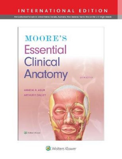 Picture of Moore's Essential Clinical Anatomy 9ed