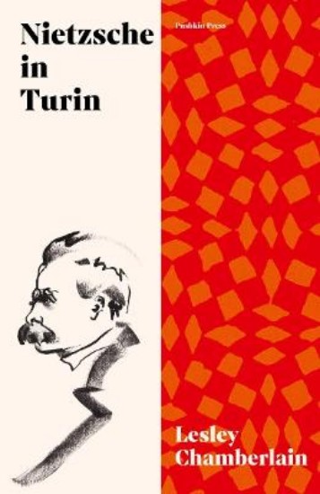 Picture of Nietzsche in Turin: The End of the Future