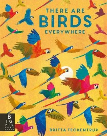 Picture of There are Birds Everywhere