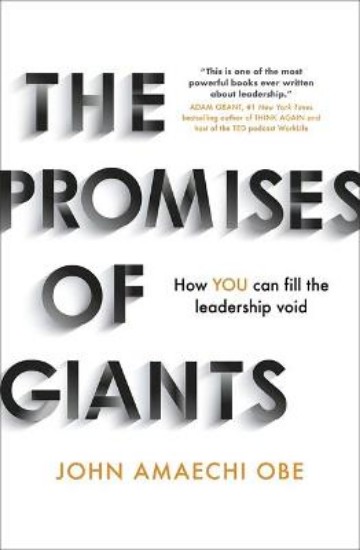 Picture of The Promises of Giants: How YOU can fill the leadership void
