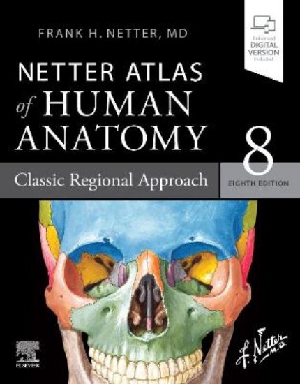 Picture of Netter Atlas of Human Anatomy: Classic Regional Approach: paperback + eBook 8ed