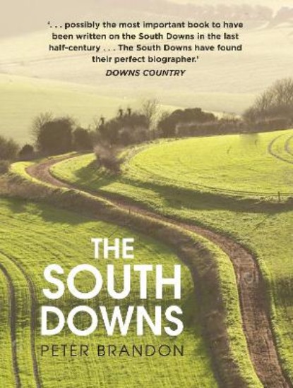 Picture of The South Downs