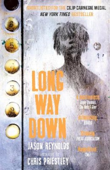 Picture of Long Way Down