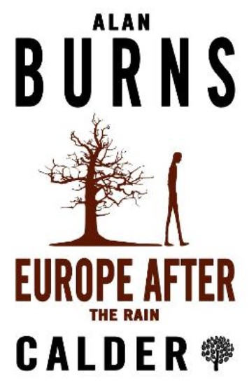 Picture of Europe after the Rain