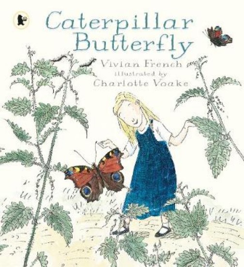 Picture of Caterpillar Butterfly