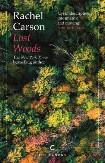 Picture of Lost Woods